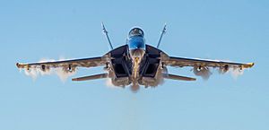 Blue Angels Super Hornet over Pensocola