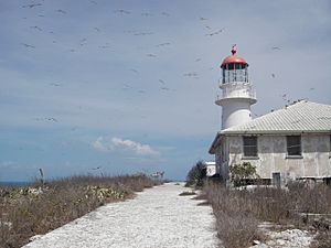 Booby Island Lighthouse.jpg