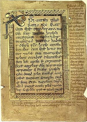 BookDeerMattCh1vv18 21Fol05r