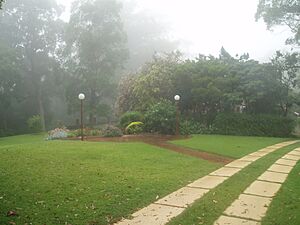 Boyce gardens - entrance and driveway