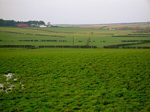 Bruntwood Loch site and Rigghead Farm
