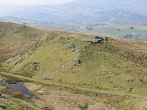 Bryn y Castell (2) - geograph.org.uk - 377152