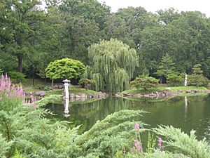 Buffalo Japanese Garden