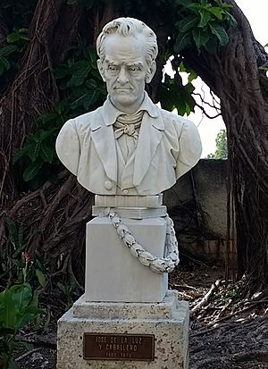 Bust of José de la Luz y Caballero