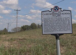 Cairo-rosenwald-thc-tn1