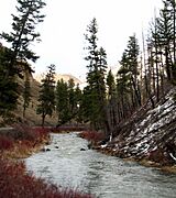 Camas Creek - Ukiah Dale SSC