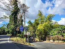 Carretera PR-164, intersección con la carretera PR-165, Naranjito, Puerto Rico