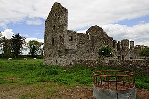 Castles of Leinster- Robertstown, Meath (geograph 2494848).jpg