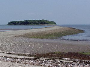 CharlesIsland