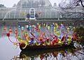 Chihuly glass in boat, morning, Palm House - geograph.org.uk - 297500