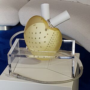 Coeur artificiel, Carmat - Grande Exposition du Fabriqué en France, Palais de l'Élysée, 19 janvier 2020 (cropped)