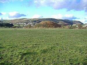 Cronk Howe Mooar near Port Erin - geograph.org.uk - 105544