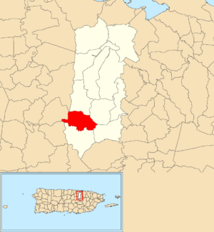Location of Dajaos within the municipality of Bayamón shown in red