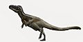 Daspletosaurus torosus by durbed