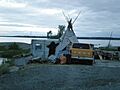 Dettah bear skin drying