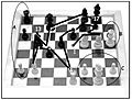 Eye movements of a chess champion nc