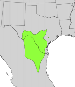 Eysenhardtia texana range map.png