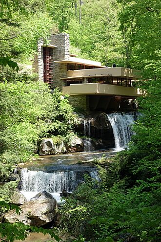 Fallingwater - DSC05639