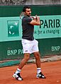 Flickr - Carine06 - Nenad Zimonjic