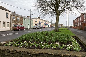 Flower bed, Front Street, Leadgate - geograph.org.uk - 4802957.jpg