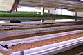 Fodder factory02