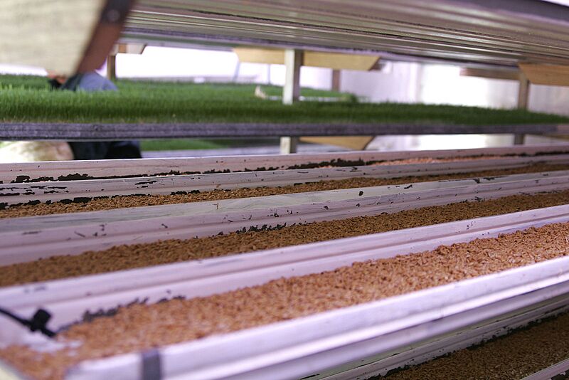 Fodder factory02