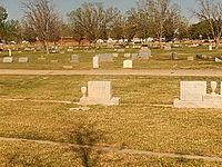 Graves at Crane County Cemetery, Crane, TX DSCN1371