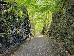Hop River State Park Trail cut, Bolton CT
