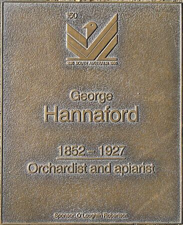 J150W-Hannaford-G
