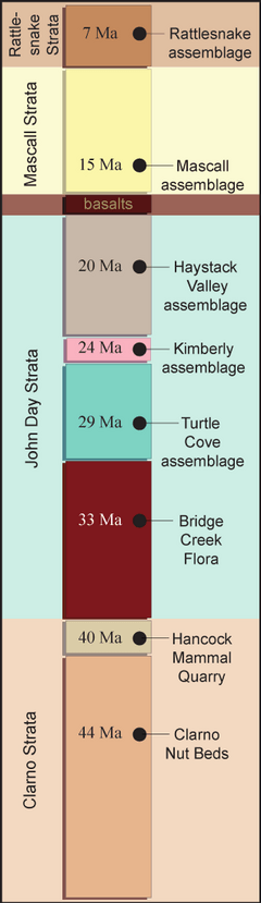 Joda geologic timeline