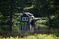 JohnnySackCabinMill 074483