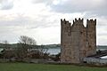 Kilclief Castle, Geograph
