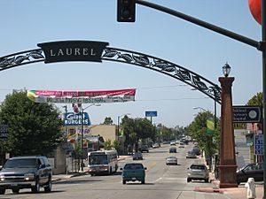 MacArthur Boulevard, the heart of the Laurel district