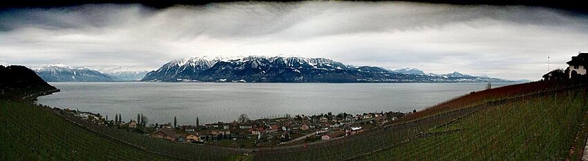 Leman Lavaux Cully.jpg