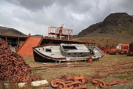 Meat Cookery at Grytviken Whaling Station