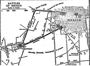 Mexico City Battles