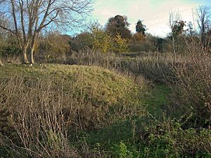 Moat in Fulbourn Fen - geograph.org.uk - 1046542