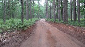 Negwegon State Park roadway