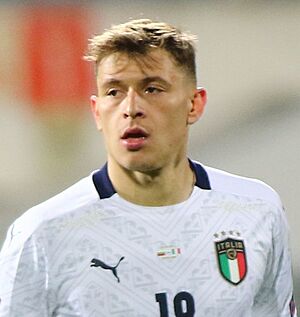 Nicolò Barella in 2021 (cropped).jpg