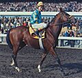 Northerndancer2
