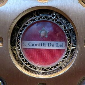 Our Lady of Good Counsel Church (Plymouth, Michigan) - Relic of St. Camillus de Lellis