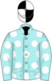 Owner Mrs B Meehan