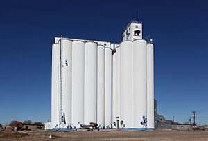 Petersburg Texas Grain Elevator 2010b