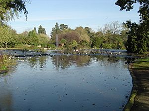 Pinner Memorial Park - The Pond - geograph.org.uk - 81897