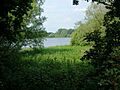 Pitsford Water Nature Reserve - geograph.org.uk - 185975