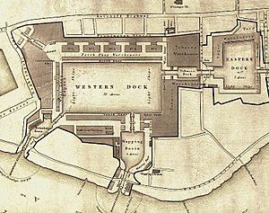 Plan of London Docks by Henry Palmer 1831