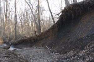 Poricy-park-stream-bed
