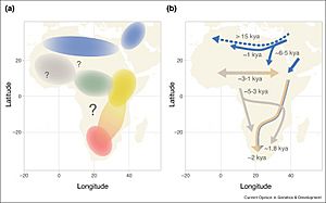 Pre-Neolithic and Neolithic migration events in Africa (excluding Basal-West-Eurasian geneflow during the Paleolithic)