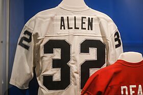 Pro Football Hall of Fame (27034481259)