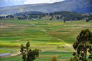 Qapaq Nan on causeway from Chucuito DSC 4275